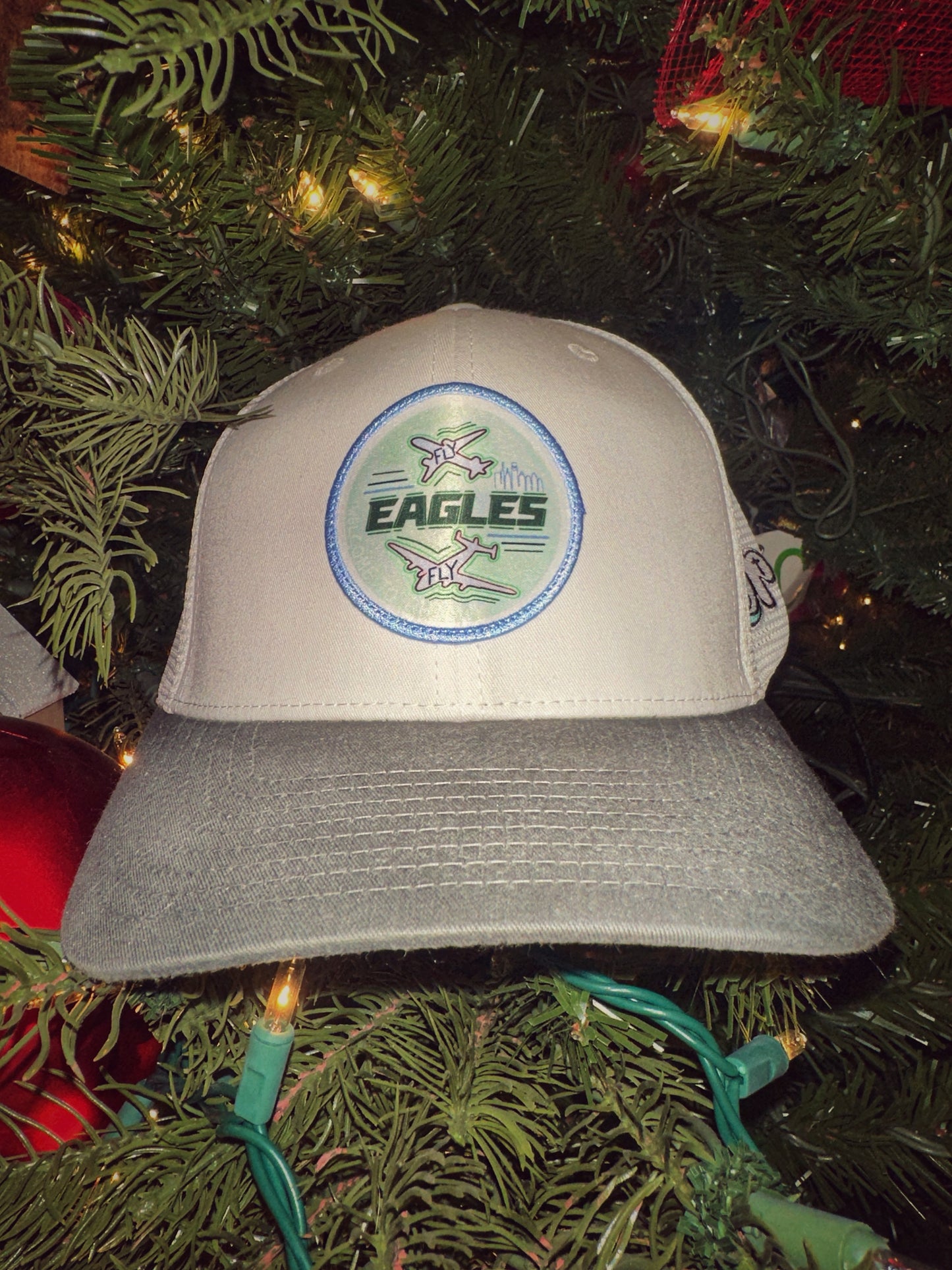 Fly Eagles Fly Snapback / Bone Black